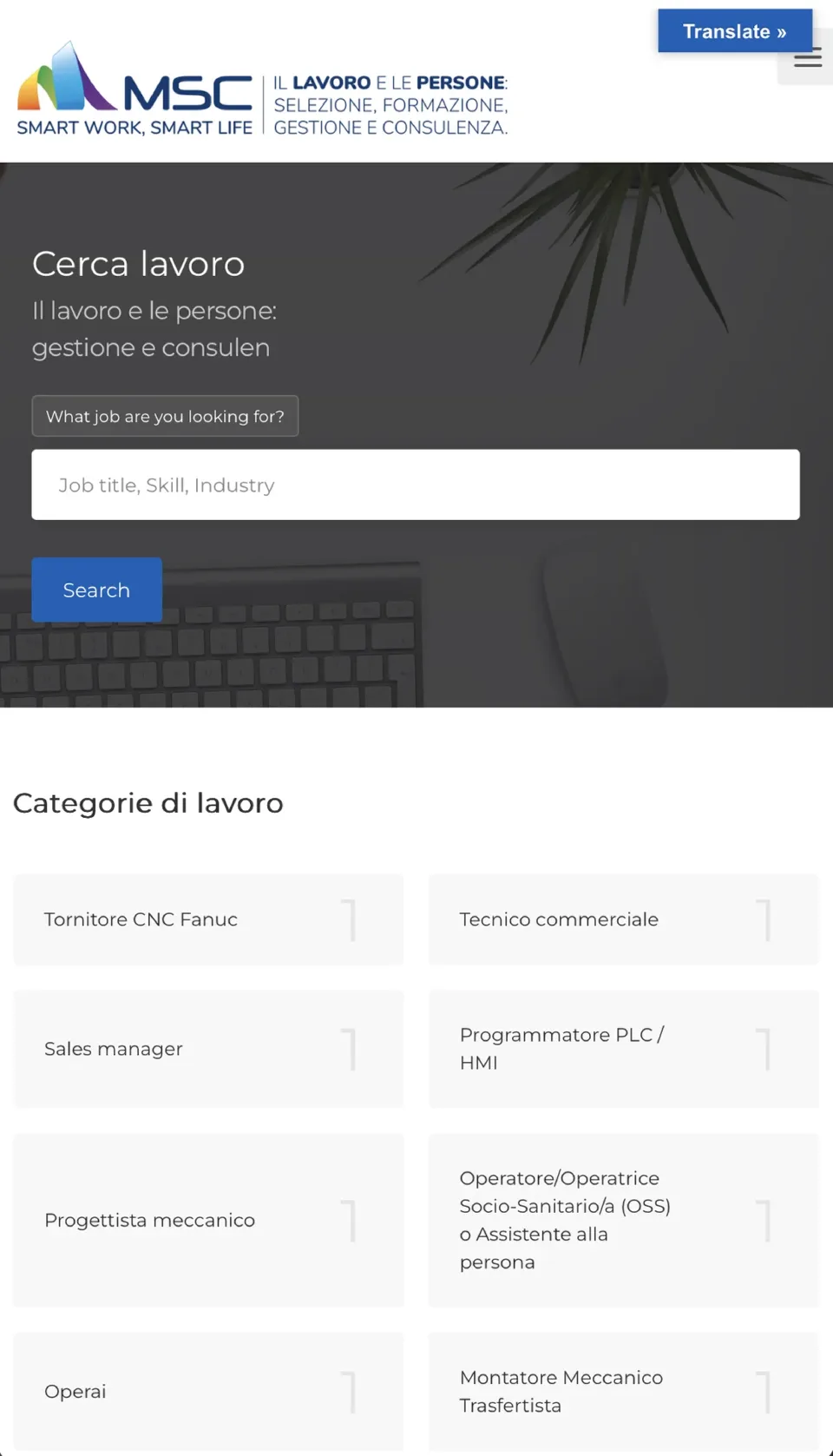 La home del sito MSC su telefono: il marchio, la ricerca delle offerte e le prime categorie di lavoro